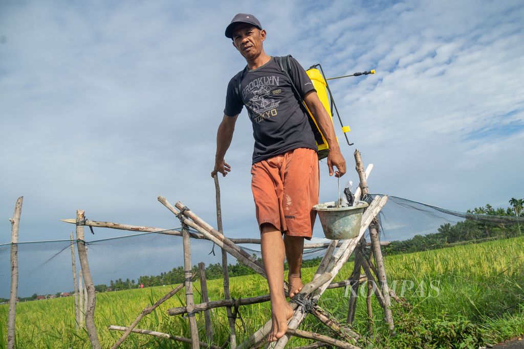 Seorang petani, Aswir (42), beranjak pulang setelah menyemprot pestisida di sawah miliknya di Nagari Tanjung Pondok, Kecamatan Basa Ampek Balai Tapan, Kabupaten Pesisir Selatan, Sumatera Barat, Kamis (12/5/2022).
