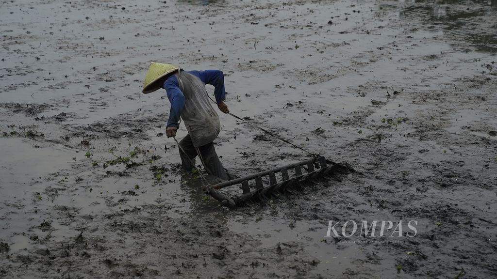 Buruh tani menyiapkan lahan persemaian benih padi di Kampung pasir Jengkol, Desa Karangmulya, Kecamatan Telukjambe Barat, Karawang, Jawa Barat, Senin (8/5/2023). 