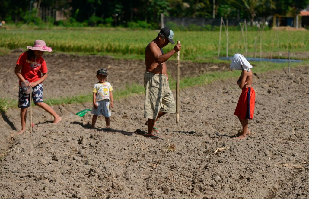 Damiri bersama ketiga anaknya ikut ke lahan pertanian untuk menanam jagung di Desa Bligo, Kecamatan Ngluwar, Kabupaten Magelang, Jawa Tengah, Sabtu (24/7/2020). 