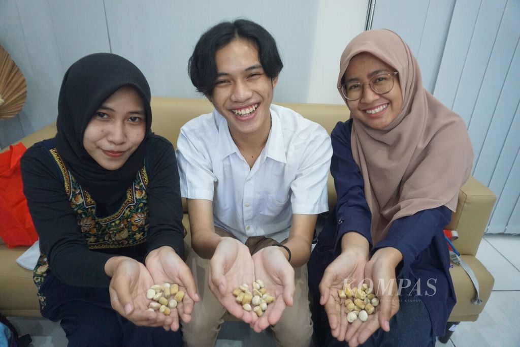 Mahasiswa Universitas Jenderal Soedirman, Purwokerto, Nisrina Khoirunnisa Salsabila (22), Sidik Prasetyo (19), dan Gina Rodatul J (22), menunjukkan BESt Balls dari tongkol jagung sebagai pengganti stirofoam dan plastik <i>bubble wrap</i> di Purwokerto, Banyumas, Jawa Tengah, Senin (27/3/2023) sore.
