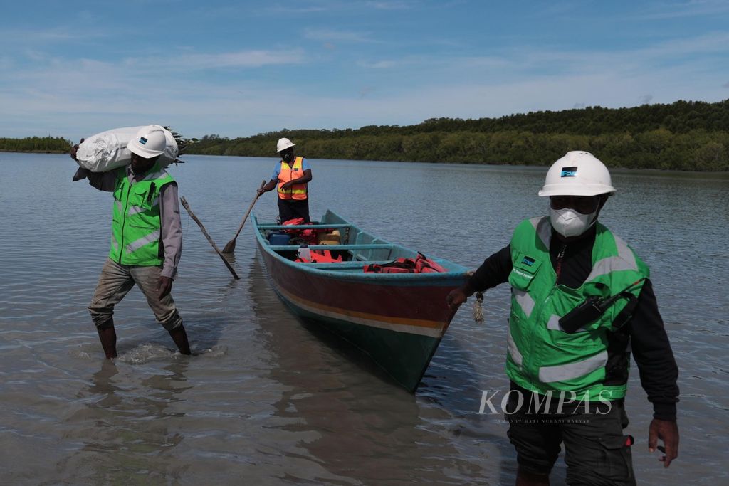 Pekerja PT Freeport Indonesia (PTFI) memanggul boibit mangrove yang akan ditanam di atas pulau-pulau baru hasil sedimentasi tailing di kawasan Muara Sungai Ajkwa, Mimika, Papua, Jumat (18/3/2022). PTFI mulai melakukan revegetasi di atas area pengendapatan tailing mulai tahun 2005.  