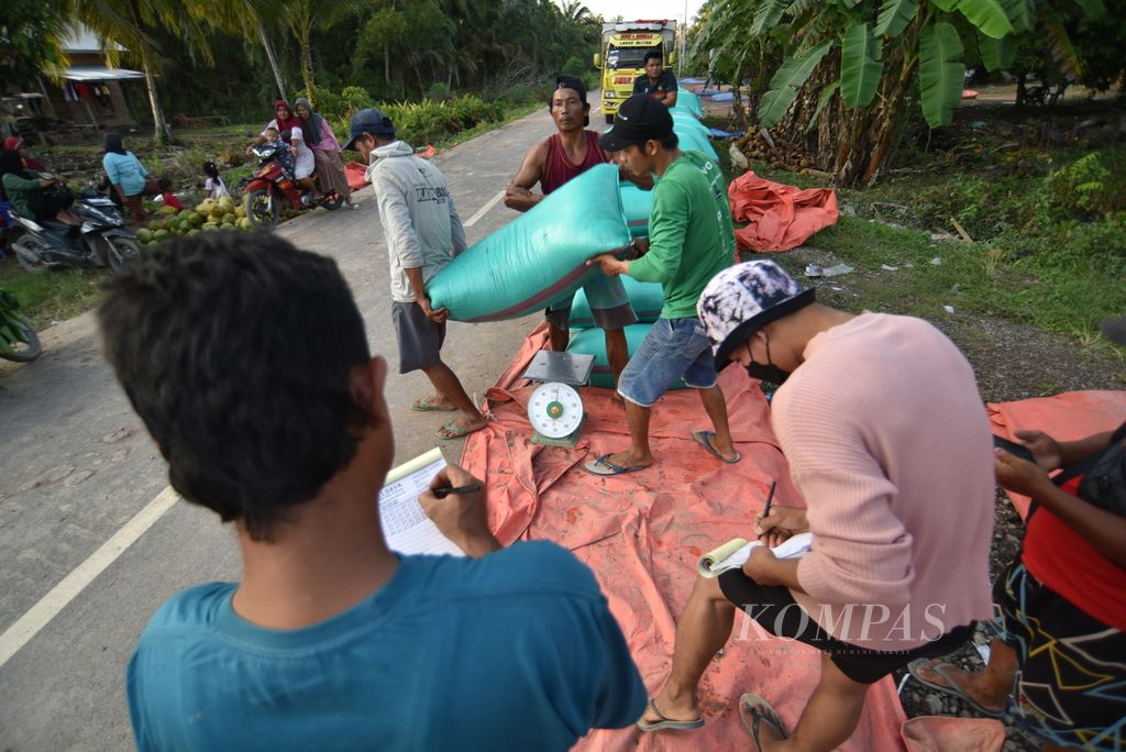 Pekerja mengangkut gabah kering yang dijual ke pengepul seusai panen di persawahan Desa Purwosari, Kecamatan Tanjung Lago, Sumatera Selatan, Senin (26/2/2024).