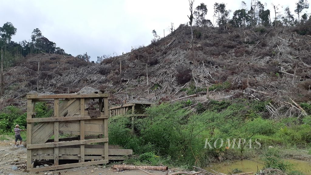 Pepohonan di salah satu lokasi tambang emas di pinggir Sungai Batanghari di dalam Hutan Lindung Batanghari ditebangi untuk dijadikan areal perkebunan, Sabtu (23/11/2019).