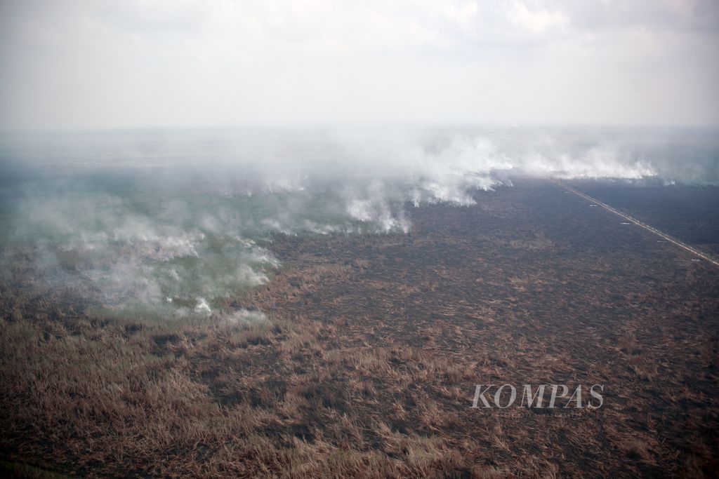 Kebakaran lahan di kawasan Cinta Jaya, Kecamatan Pedamaran, Kabupaten Ogan Komering Ilir, Sumatera Selatan, Kamis (2/11/2023).