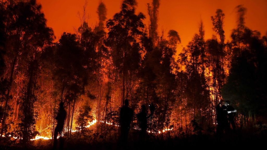 Petugas berusaha memadamkan api di Puren, Araucania, Chile, Sabtu (4/2/2023) waktu setempat. Kebakaran tersebut sedikitnya telah merenggut 23 nyawa. 