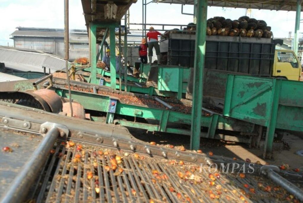 Petugas pabrik di salah satu anak usaha Astra Agro Lestari di Kabupaten Merangin, Jambi, menyortir buah sawit yang dipasok petani, Sabtu (6/7/2019).  