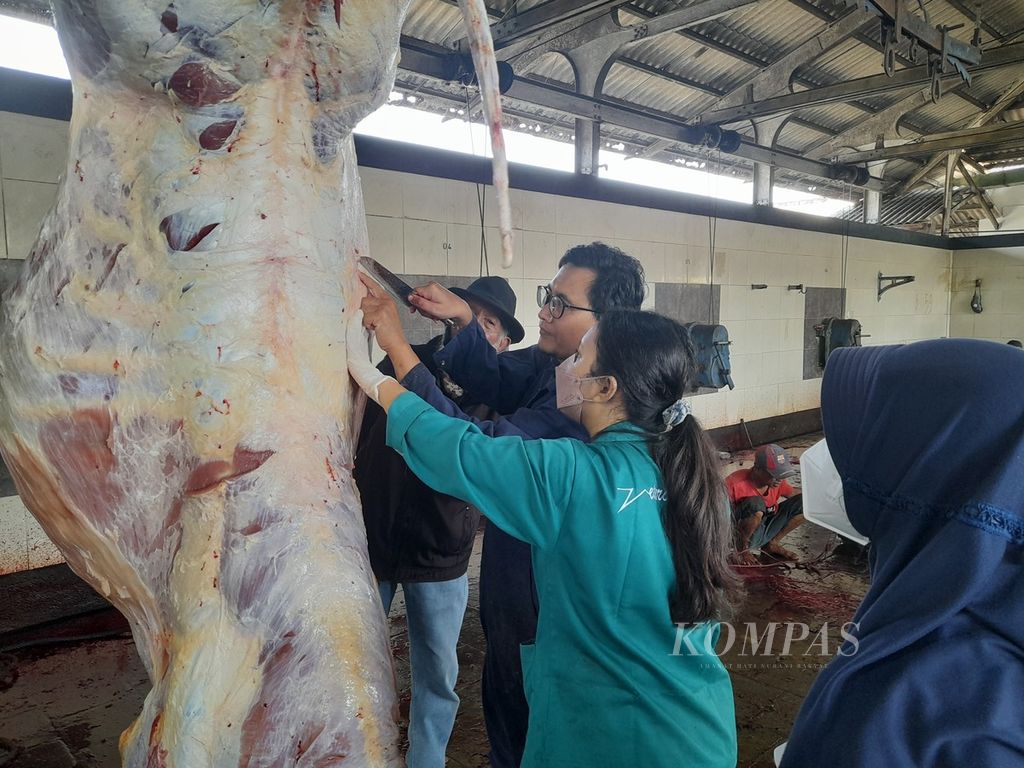Tim dari Fakultas Kedokteran Hewan pada Laboratorium Kesehatan Masyarakat Veteriner, Universitas Brawijaya, Malang, memeriksa daging hewan kurban di rumah potong hewan setempat, Minggu (10/7/2022).