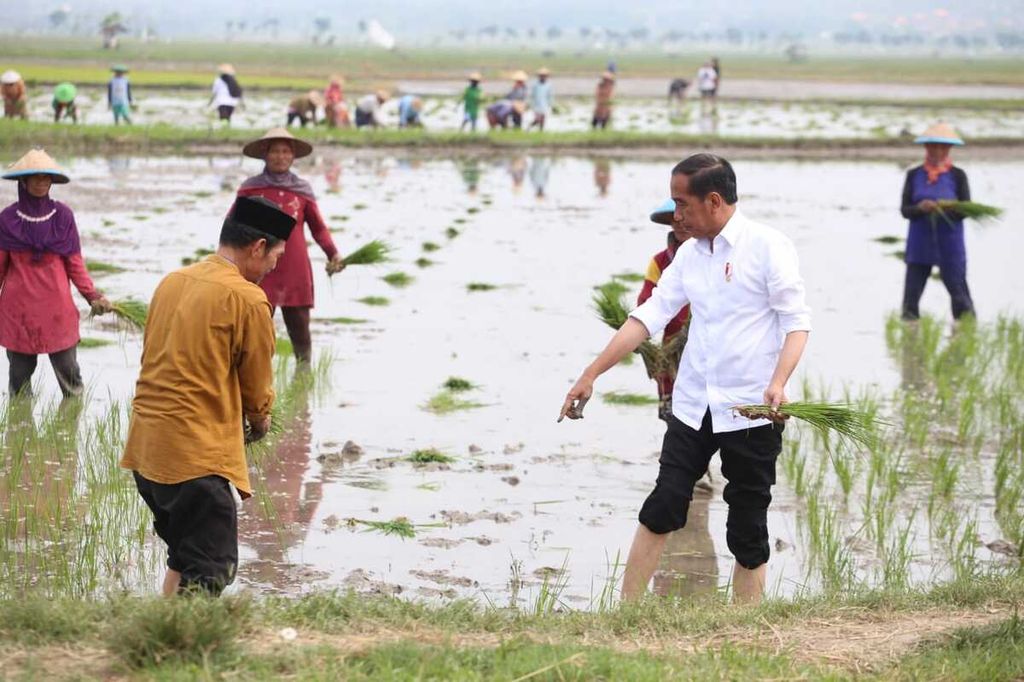 Presiden Joko Widodo menanam padi bersama petani di Tuban, Jawa Timur, Kamis (6/4/2023). Presiden mendorong pertanian organik untuk menekan biaya usaha tani dengan mengurangi pemakaian pupuk kimia dan memperbaiki lingkungan 