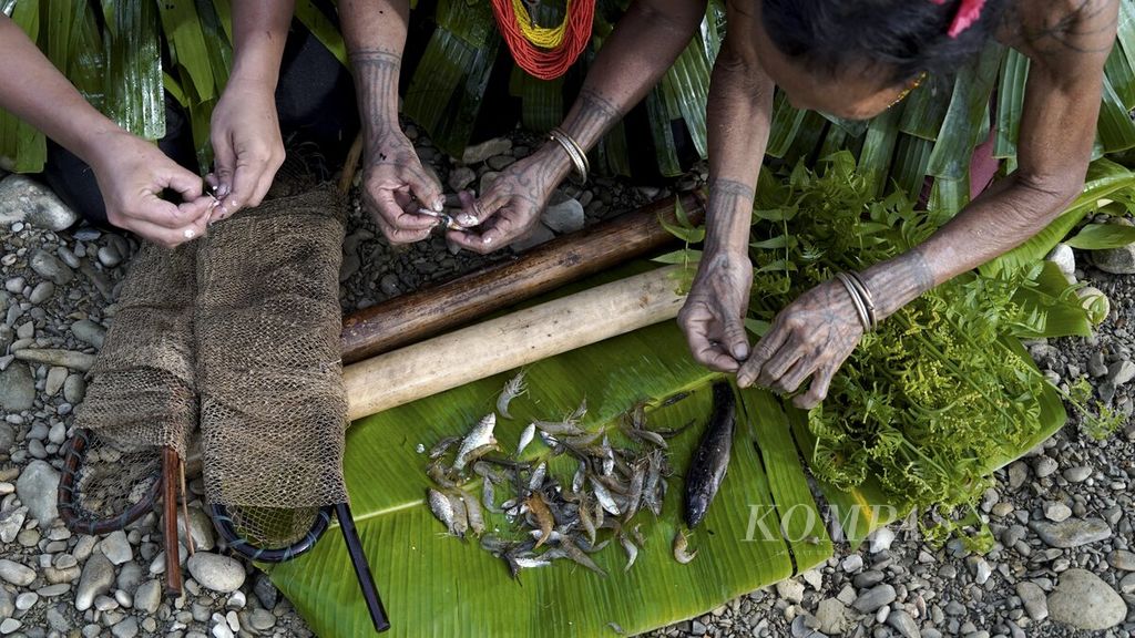 Perempuan suku Mentawai membersihkan ikan yang didapat dari Sungai Buttui yang mengalir membelah kampung adat mereka di Dusun Butui, Desa Madobag, Kecamatan Siberut Selatan, Kepulauan Mentawai, Sumatera Barat, Kamis (28/7/2022). Para perempuan suku Mentawai memiliki kemampuan mencari ikan untuk menambah kebutuhan dapur keluarga, sementara kaum lelaki berburu di hutan. 