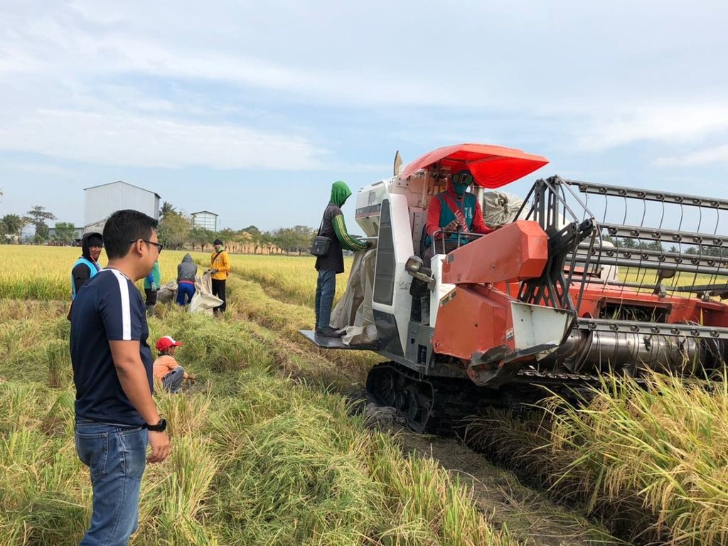 The team from PT Food Station Tjipinang visited Sidrap, South Sulawesi, Friday (24/8/2018). The visit was to secure rice stocks in Jakarta in the face of the 2018 long dry season