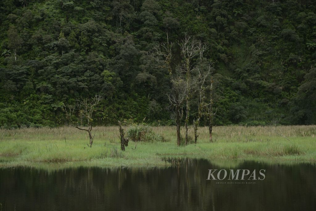 Hutan Petungkriyo di Kecamatan Petungkriyo, Kabupaten Pekalongan, Jawa Tengah, 26 November 2021.