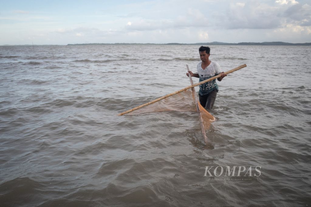 Nelayan, Bakir (51), menangkap udang di pesisir Pulau Rempang, Batam, Kepulauan Riau, Jumat (9/8/2024). 