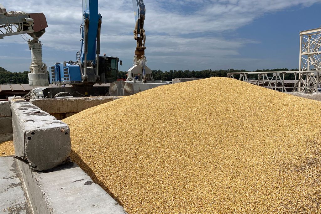 Tumpukan biji-bijian jagung terlihat di dermaga Pelabuhan Laut Izmail, Odesa, pada 22 Juli 2023. 