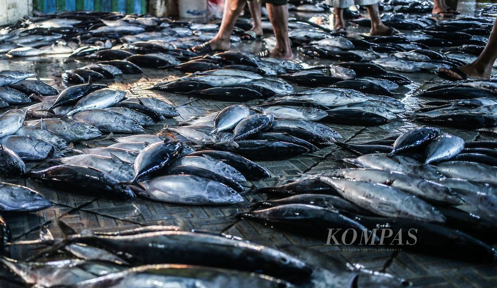 Suasana pagi di Pasar Ikan Hamadi, Jayapura, Papua, Jumat (3/12/2021). Pasar Ikan Hamadi menjadi pusat perdagangan perikanan utama di Jayapura dan Papua pada umumnya. 