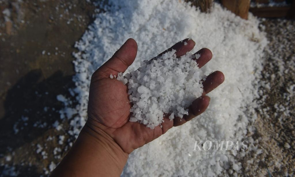 Garam panenan tahun lalu di sentra produksi garam di Kecamatan Pademawu, Kabupaten Pamekasan, Jawa Timur, Sabtu (29/5/2024). Pamekasan merupakan salah satu daerah penghasil garam di Pulau Madura.