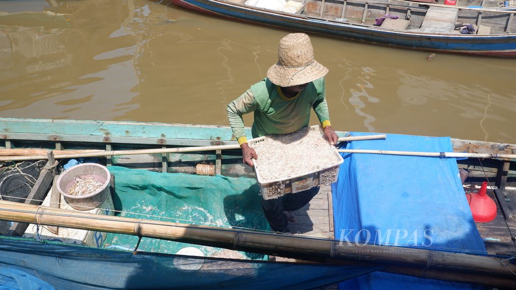 Nelayan di Desa Bawah Layung, Kecamatan Kurau, Kabupaten Tanah Laut, Kalimantan Selatan membawa udang rebon hasil tangkapannya di laut, Rabu (26/7/2023).