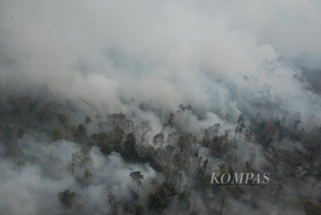 Peatland fire in the Kumpeh area, Muaro Jambi Regency, Jambi, during an air patrol by the Jambi Karhutla Task Force Team and the National Disaster Management Agency, Tuesday (8/10/2019).