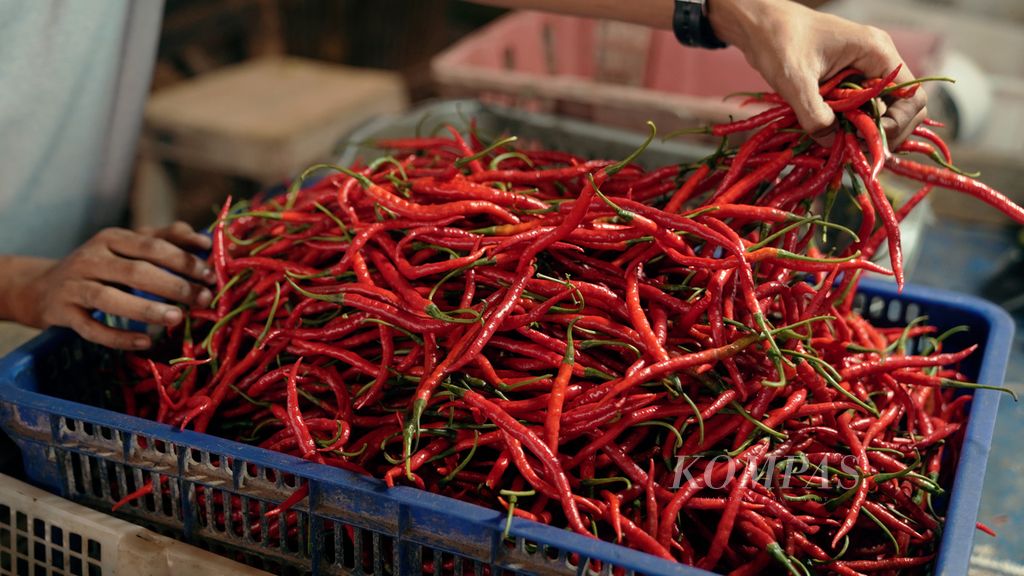 Pedagang menata cabai merah keriting yang akan dijual malam hingga pagi hari di Pasar Cakung, Jakarta Timur, Senin (11/7/2022). Sejumlah pedagang mengatakan, harga-harga bahan pangan mulai naik  tiga bulan terakhir.