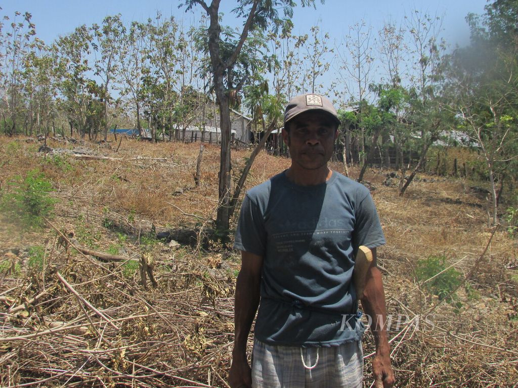 Ayup Suni (43), petani lahan kering di Fatukoa Kupang, berdiri di lahan, Jumat (15/9/2023).