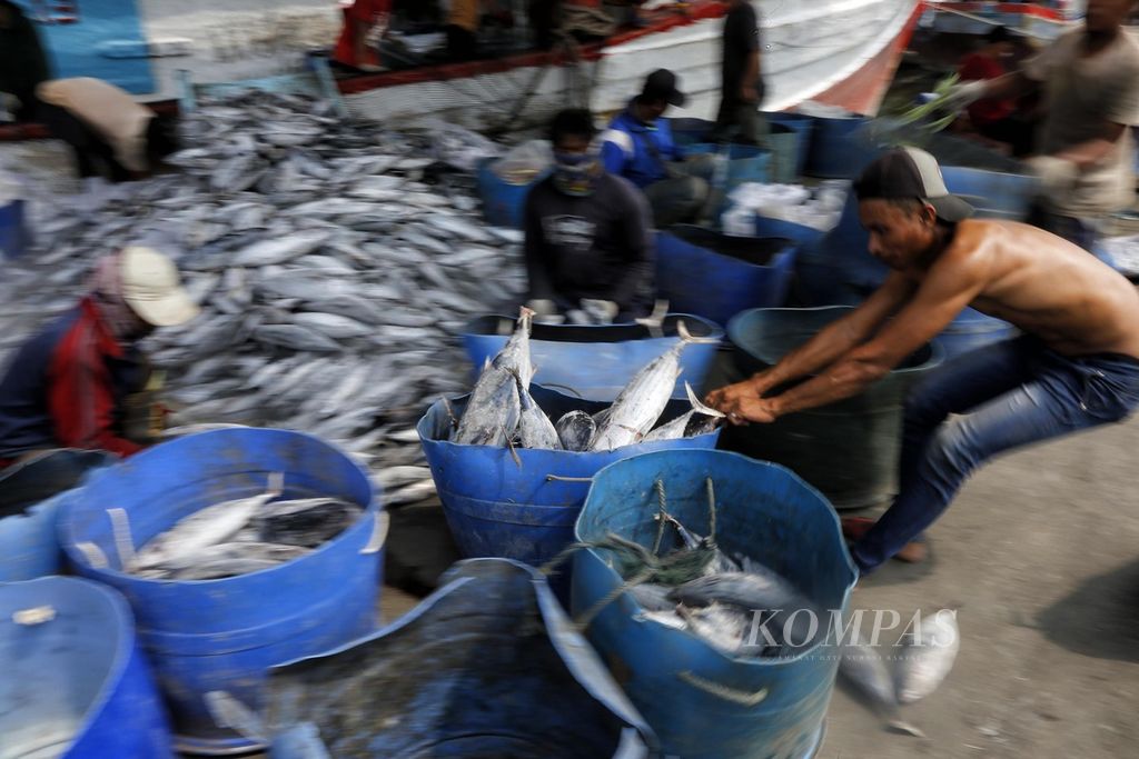 Buruh membongkar hasil tangkapan di Pelabuhan Perikanan Samudera Nizam Zachman Muara Baru, Jakarta, Minggu (2/7/2023). Untuk menjaga sumber daya alam berupa penangkapan ikan berlebih, pemerintah melalui Kementerian Kelautan dan Perikanan (KKP) terus melakukan patroli kelautan. Selama kurun waktu Januari-Mei 2023, KKP menangkap kapal ikan ilegal sebanyak 70 kapal, terdiri dari 61 kapal ikan Indonesia dan 9 kapal ikan asing. 