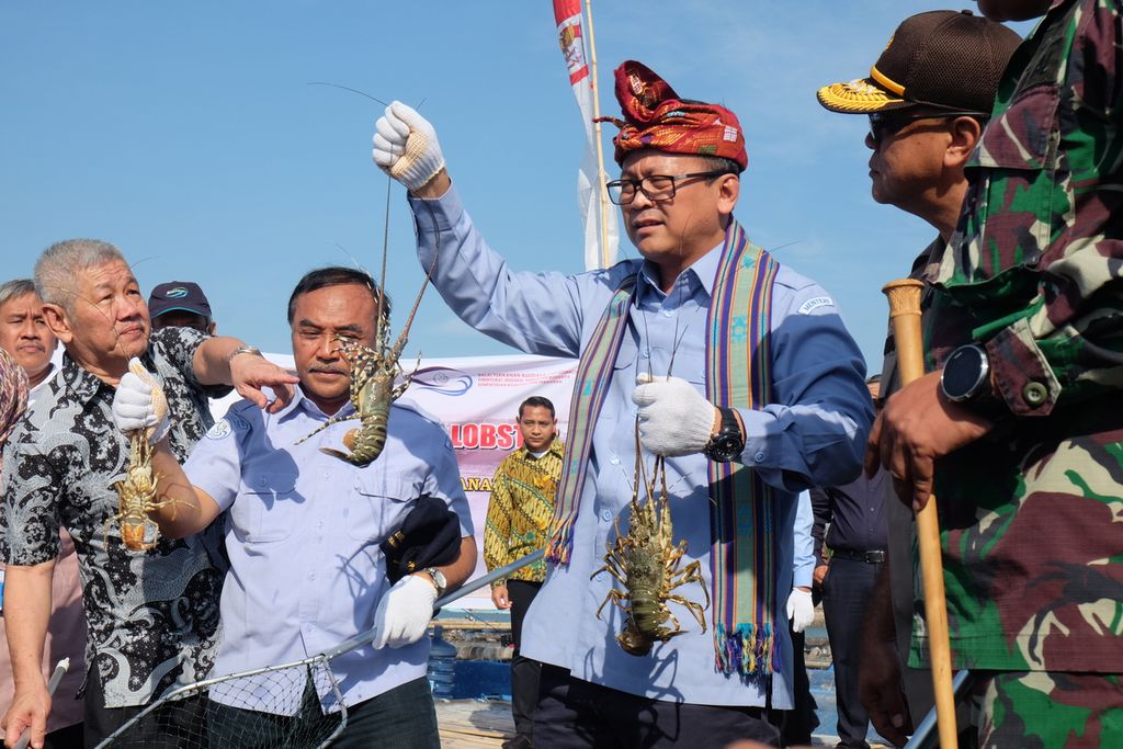 Menteri Kelautan dan Perikanan Edhy Prabowo beserta jajaran dan sejumlah pihak terkait memperlihatkan lobster yang dibesarkan di keramba jaring apung di kawasan perairan Teluk Jukung, Kecamatan Jerowaru, Kabupaten Lombok Timur, Nusa Tenggara Barat, Kamis (26/12/2019). 