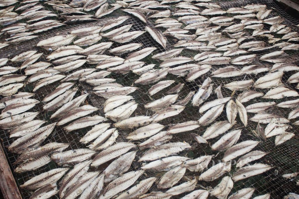 \Ikan tongkol dijemur untuk diproses menjadi keumamah atau ikan kayu di sentra produksi olahan ikan Puteh Meulu, di Desa Lampulo, Kecamatan Kuta Alam, Kota Banda Aceh, Selasa (6/12/2023).