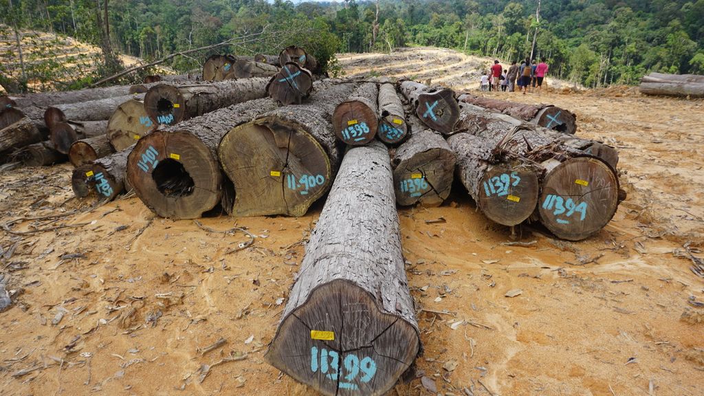 Warga Kinipan di Kabupaten Lamandau, Kalteng, melewati jalan yang dulunya merupakan wilayah kelola mereka pada 2018. Begitu banyak pohon yang dipotong dalam proses pembukaan lahan untuk perkebunan sawit.