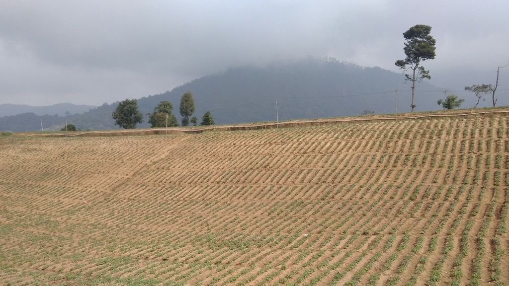 Lahan persawahan terbuka dan minim tegakan di Desa Sumberbrantas, Kecamatan Bumiaji, Kota Batu, Jawa Timur, terlihat sepi, Jumat (22/5/2021). Kawasan ini merupakan hulu Daerah Aliran Sungai Brantas.