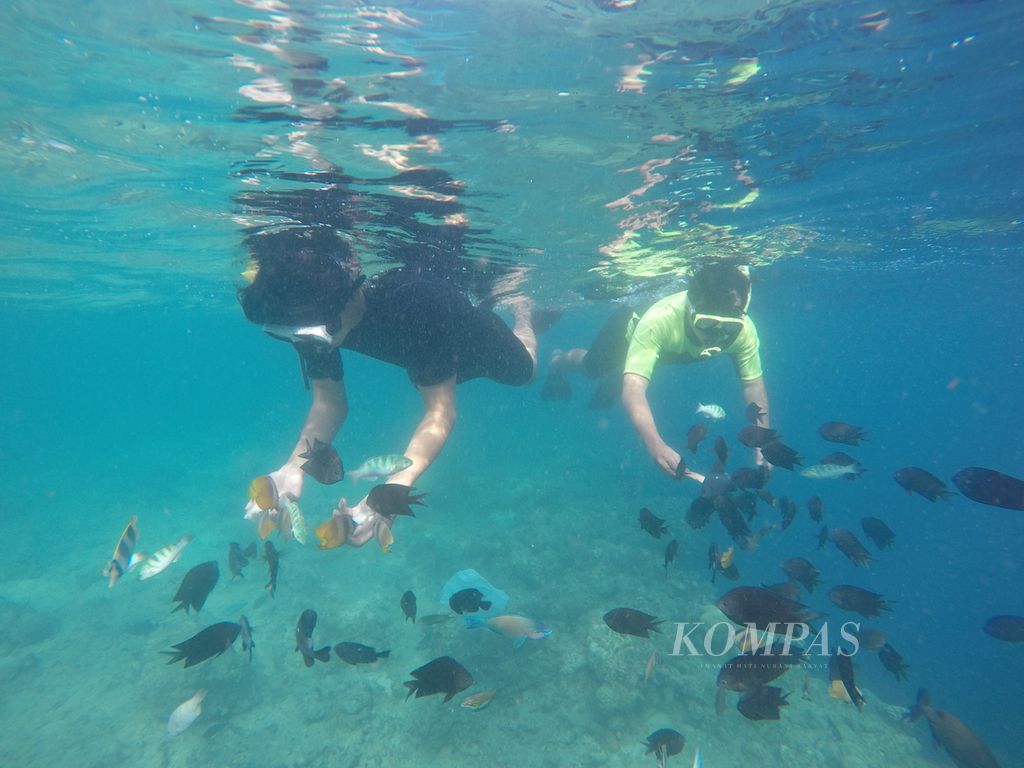 Wisatawan berenang bersama beragam ikan di perairan Taman Nasional Bunaken, Manado, Sulawesi Utara, pada Sabtu (27/3/2021). Bunaken yang mendatangkan pemasukan negara bukan pajak sebesar Rp 7,8 miliar selama 2015-2019 tetap menjadi destinasi andalan pariwisata di Sulut.