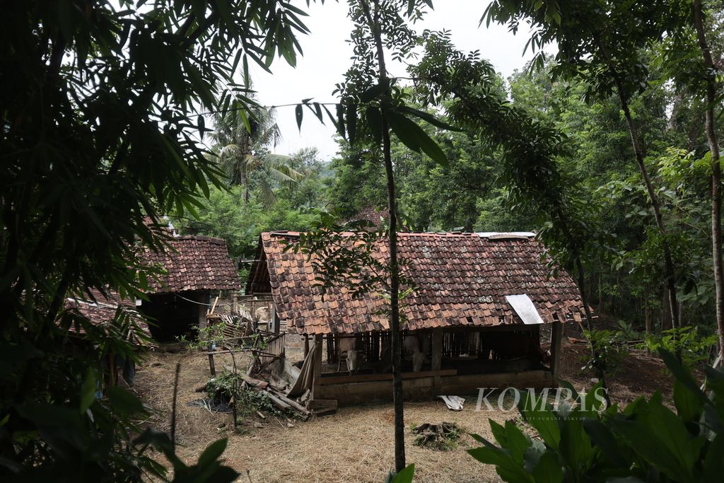Rumah warga dibangun berdekatan dengan kandang ternak di Dusun Kayoman, Desa Serut, Gedangsari, Gunungkidul, DI Yogyakarta, Jumat (15/3/2024). 