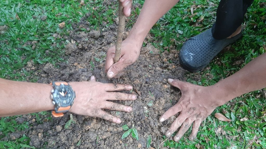 Beny Tan Heri (39), inisiator gerakan Pohon Kenangan (sebelah kanan) saat sedang menanam pohon mangga di halaman salah satu warga Kota Pontianak, Kalimantan Barat, Selasa (14/5/2024).