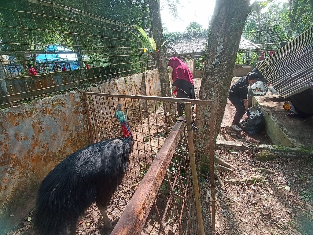 Para pegiat media sosial bersama masyarakat membersihkan kandang satwa dan menggalang donasi di Kebun Binatang Medan yang terbengkalai akibat krisis keuangan, di Medan, Sumatera Utara, Rabu (24/1/2024). 