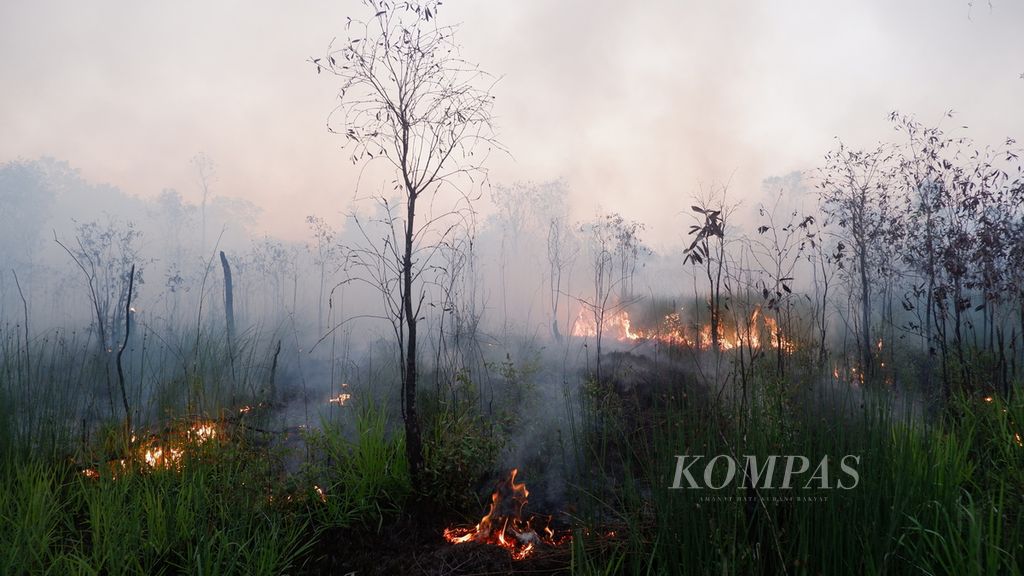 Kebakaran lahan gambut di Kecamatan Liang Anggang, Kota Banjarbaru, Kalimantan Selatan, Kamis (21/9/2023). Selama September ini, lahan gambut di Kalsel semakin mudah terbakar dan sulit dipadamkan.