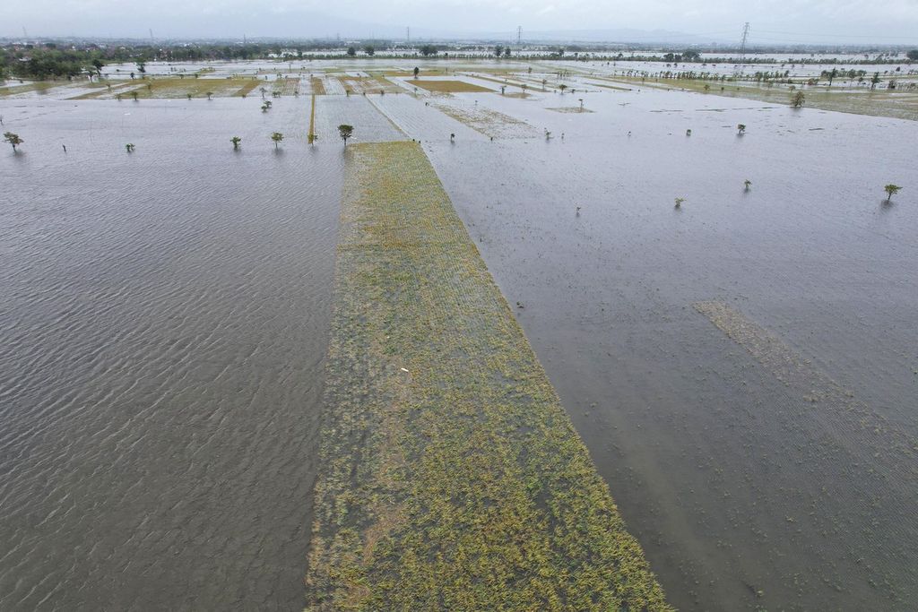 Lansekap lahan persawahan yang terendam banjir di Desa Wates, Undaan, Kudus, Jawa Tengah, Kamis (2/3/2023). Sebagian lahan yang terendam banjir tersebut ditanami padi yang sudah memasuki masa panen. Banjir yang terjadi lebih dari sepekan ini telah merendam sawah seluas lebih dari 2.200 hektar di Kudus. 