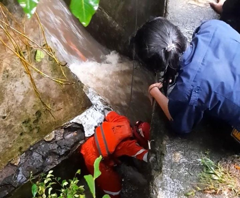 Petugas BPBD Kota Bogor dan tim gabungan mencari korban hilang yang terseret arus air di Jalan Dadali, Tanah Sareal, Kota Bogor, Jawa Barat, pada Selasa (11/10/2022) sore. Hingga saat ini, petugas masih mencari korban hilang.