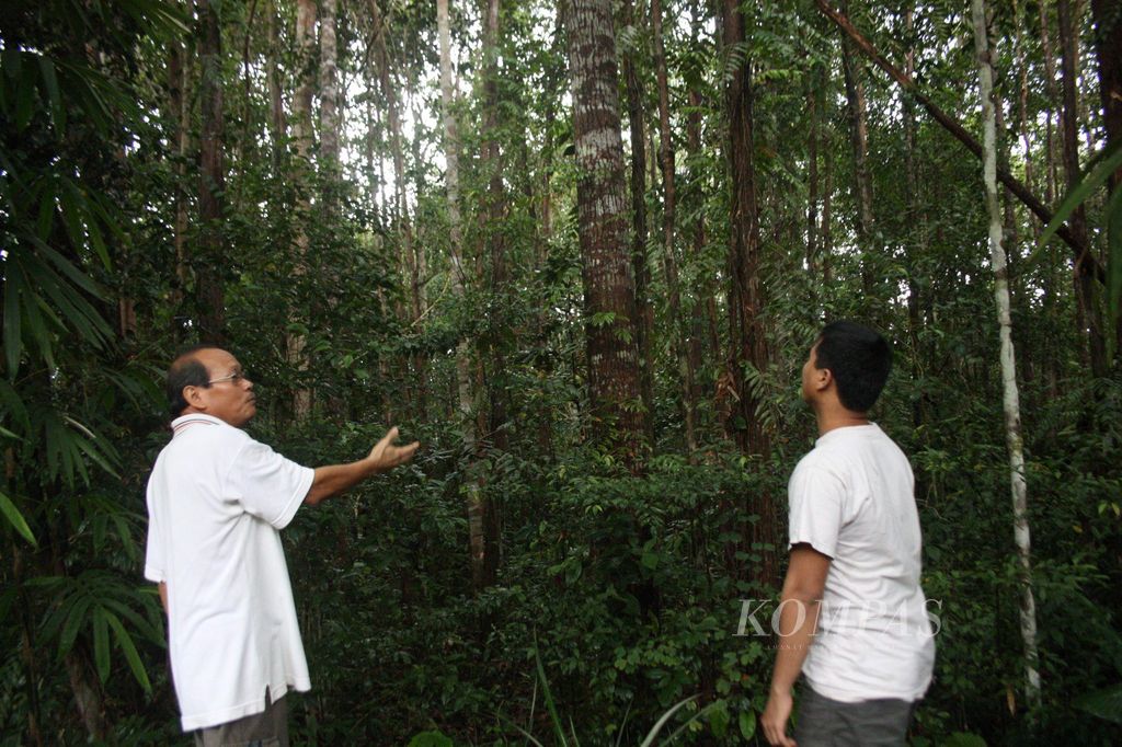 Hutan konservasi yang ditanam secara swadaya oleh komunitas OFM Capusin di Bukit Tunggal, Kecamatan Sungai Ambawang, Kabupaten Kubu Raya, Kalimantan Barat, Rabu (22/12/2010). Hutan seluas 100 hektare ini merupakan upaya menghadirkan kembali nuansa firdaus yang hilang akibat pembalakan liar.