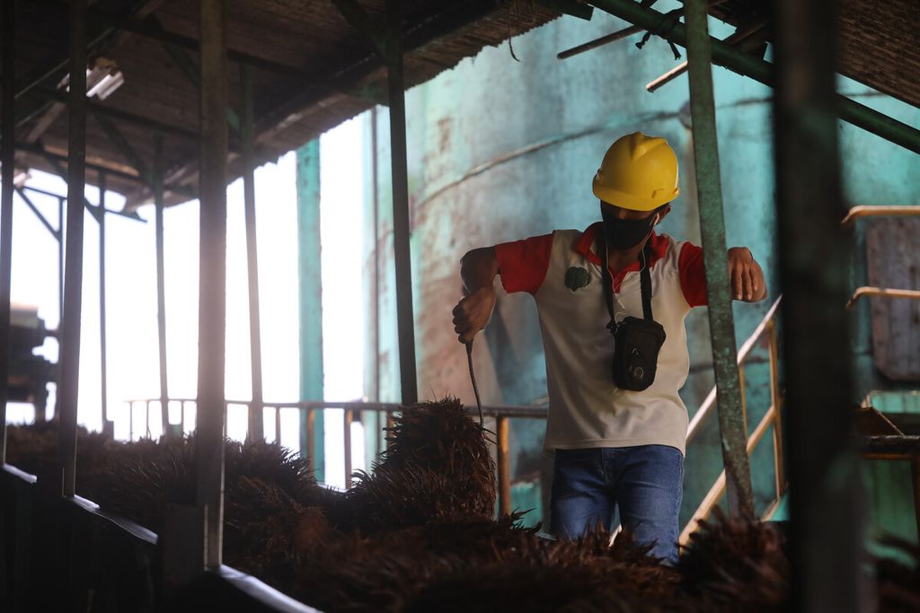 Pekerja pada PT Sawit Sumbermas Sarana Tbk (SSMS) menyortir janjang kelapa sawit, di Pangkalan Bun, Kalimantan Tengah, Kamis (29/4/2021). PT SSMS memproduksi CPO dengan kapasitas produksi sebesar total 2.500 ton per hari.