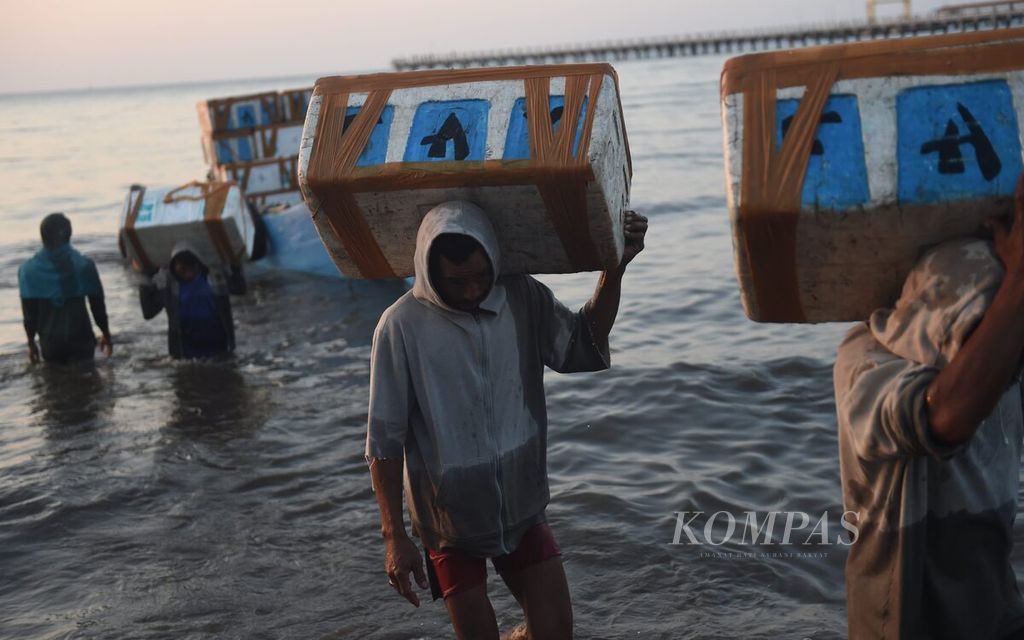 Pekerja menurunkan ikan hasil tangkapan nelayan dari Pulau Raas di Pelabuhan Jangkar, Situbondo, Jawa Timur, Rabu (31/5/2023). Walau pelabuhan kecil, Pelabuhan Jangkar berperan penting sebagai jalur logistik bagi masyarakat yang ada di Kepulauan di Kabupaten Sumenep seperti Raas dan Sapudi.