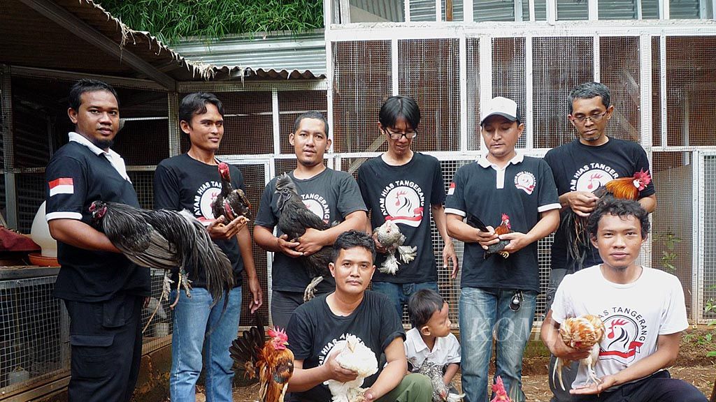 Komunitas Ayam Hias Tangerang Raya merangkul  penggemar ayam hias. Temu komunitas di kawasan Pamulang, Tangerang Selatan, Banten, Sabtu (25/11),  diadakan di kandang ayam milik salah satu peternak ayam hias.