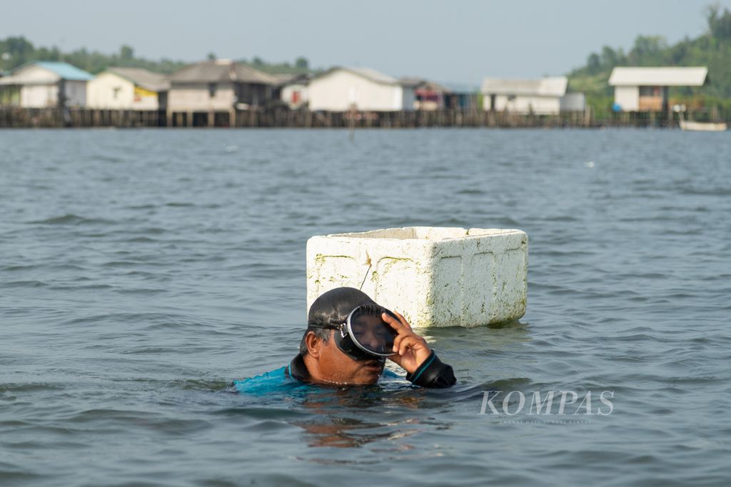 Yupen (35) bersiap menyelam untuk menangkap siput gonggong di pesisir Kampung Monggak, Pulau Batam, Kepulauan Riau, Sabtu (15/4/2023). 