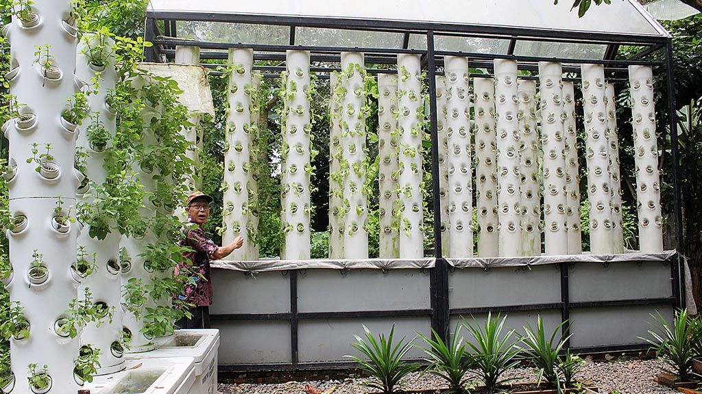 Budidaya sayur secara vertikal dengan teknik aquaponik di Arumdalu Lab, lokasi edukasi berkebun di perkotaan.