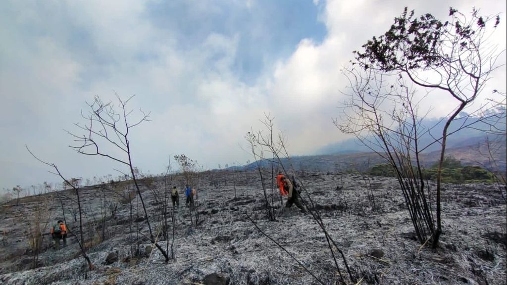 Kondisi lahan di lereng Gunung Arjuno di Kabupaten Malang, Jawa Timur, yang baru saja terbakar, Minggu (28/8/2023)