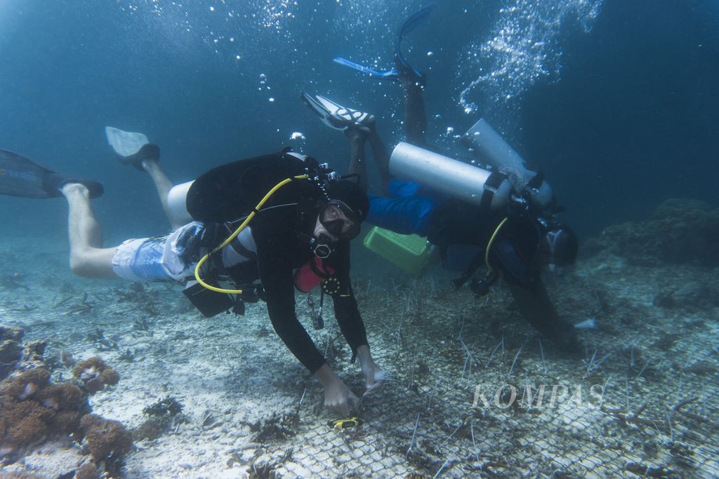 Arnaud Brival (left) shows how to transplant corals at the dock area of Arborek Island, Raja Ampat, West Papua, on Monday (31/5/2021).