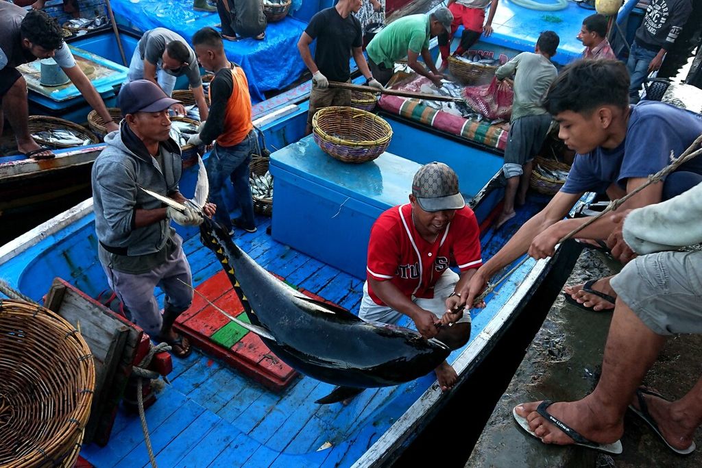 Para nelayan di Pelabuhan Perikanan Lampulo, Kota Banda Aceh, Provinsi Aceh, Minggu (17/4/2022), membongkar tangkapan berupakan ikan kembung, denicis, tongkol, hingga tuna. Potensi perikanan tangkap di Provinsi Aceh lebih dari 295 ton per tahun. Namun, yang bisa dimanfaatkan hanya 230 ton per tahun.