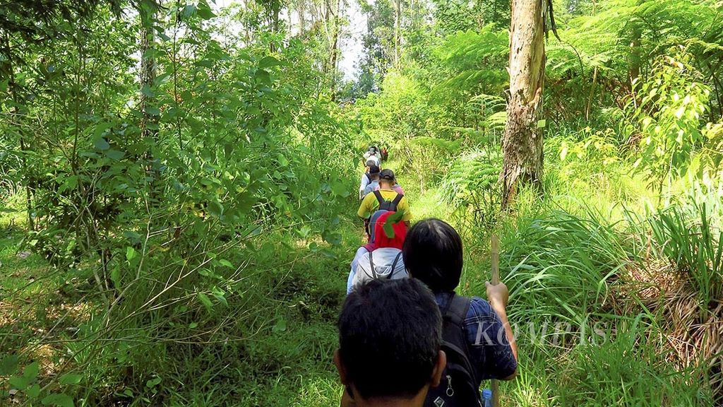 Pengunjung Camping Ground Sarongge, akhir Agustus 2015, melintasi jalan setapak bekas lokasi pertanian masyarakat yang sekitar lima tahun terakhir dihutankan kembali karena berada di kawasan hutan konservasi Taman Nasional Gunung Gede Pangrango.