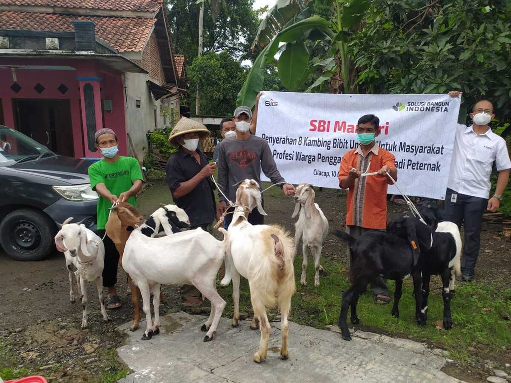 Sebanyak 8 kambing diserahkan PT Solusi Bangun Indonesia Tbk kepada masyarakat di Desa Jangrana, Jeruklegi, Cilacap, Jawa Tengah, Rabu (10/11/2021).