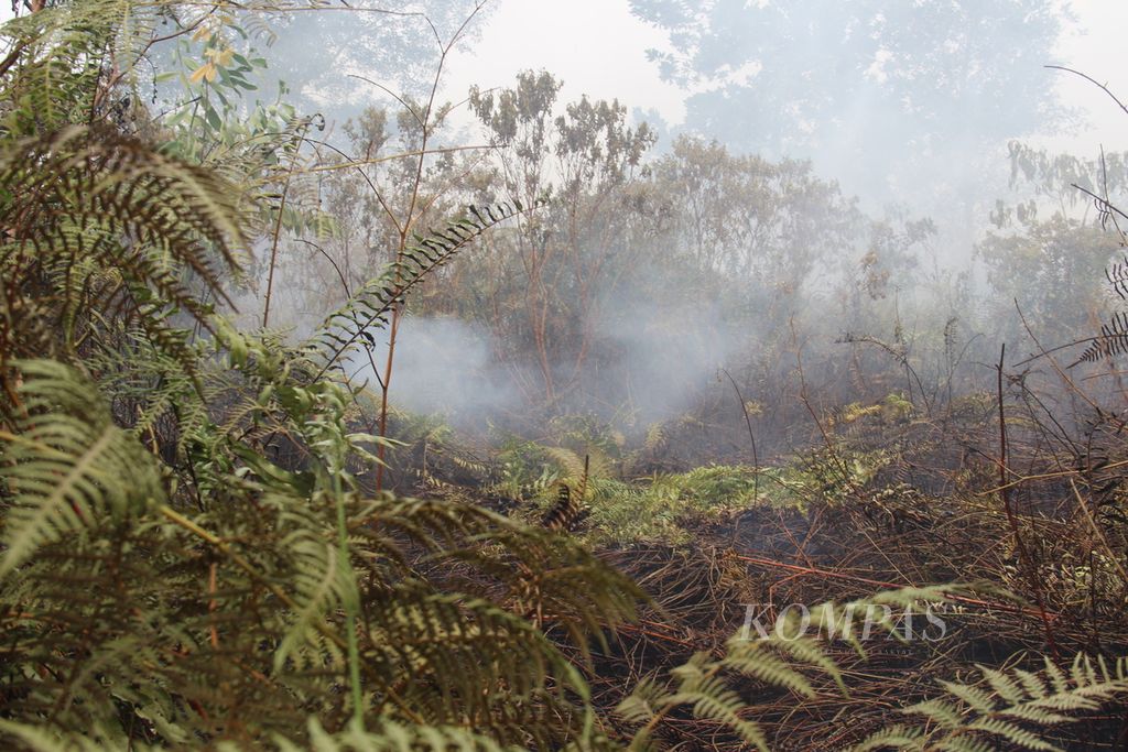 Kebakaran lahan gambut di Kabuapten Kubu Raya, Kalimantan Barat, Rabu (31/5/2023).