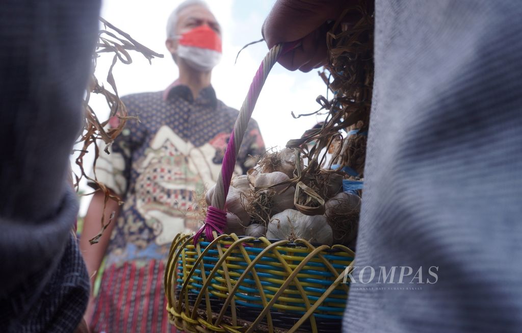 Gubernur Jawa Tengah Ganjar Pranowo menyerahkan bibit bawang putih varietas lokal kepada para petani bawang putih di Desa Tuwel, Kecamatan Bojong, Kabupaten Tegal, Jawa Tengah, Jumat (12/8/2022).