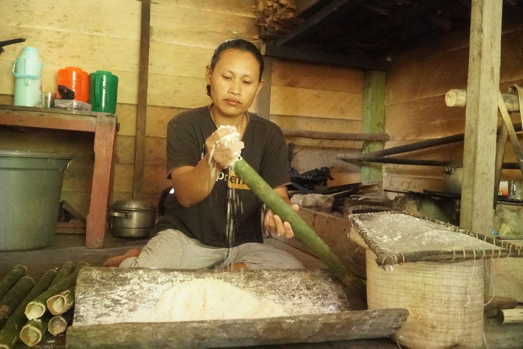 Warga sedang memasukkan pati sagu dalam bambu untuk membuat sagu bakar bambu atau sagu kaobbuk di pedalaman Pulau Siberut di Dusun Bekkeiluk, Desa Muntei, Kecamatan Siberut Selatan, Kepulauan Mentawai, Sumatera Barat, Minggu (24/9/2023). Sagu, keladi, dan pisang merupakan makanan pokok masyarakat suku Mentawai di Pulau Siberut, Kepulauan Mentawai.