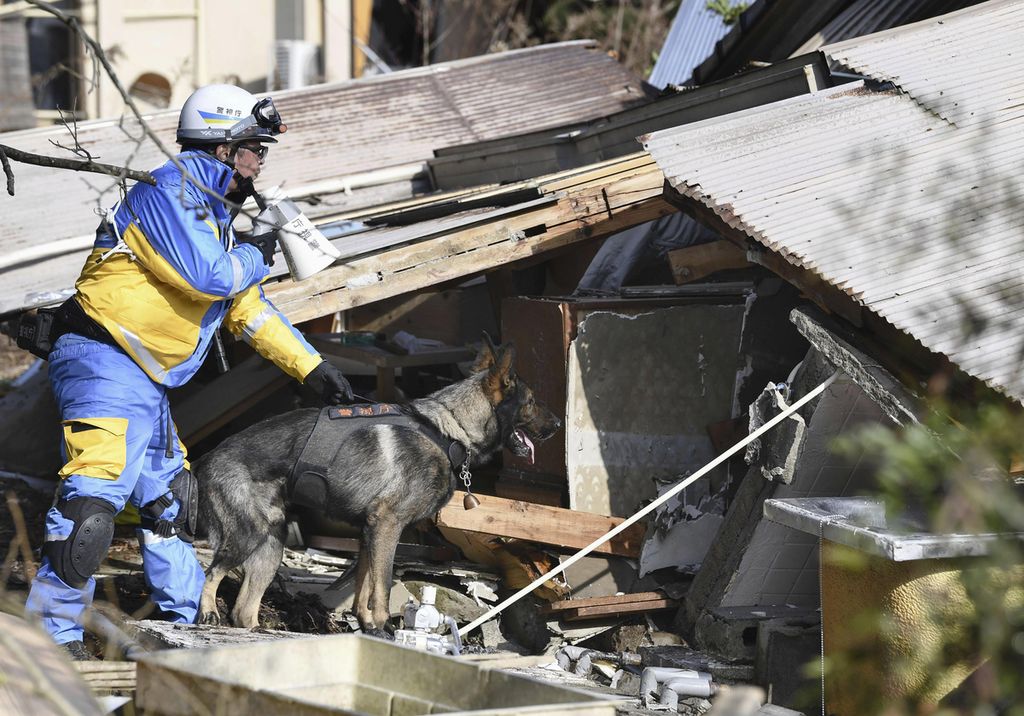 Pencarian korban dilakukan dengan menurunkan anjing K-9 di Suzu, sebuah kota di Prefektur Ishikawa yang menjadi pusat gempa, Sabtu (6/1/2024). Hampir 200 korban diperkirakan masih berada di bawah reruntuhan bangunan. 